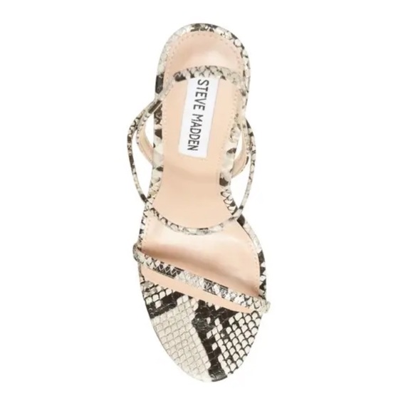 Steve Madden Gabriella Gold Snake - Picture 5 of 11